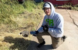 Influencer Saves Over 700 Cats At South Texas Sanctuary