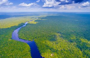 Rare Photos Reveal Uncontacted Amazon Tribe in Peru Near Logging Site