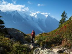 Search Underway for 70-Year-Old Man Missing on California Off-Road Trail