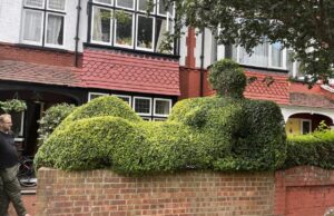 Architect Transforms London’s Hedges Into Whimsical Sculptures