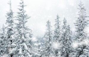 California Experiences Rare Summer Snowfall for the First Time in Two Decades